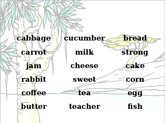 cabbage cucumber carrot bread milk jam cheese strong rabbit coffee cake sweet tea corn butter egg teacher fish 
