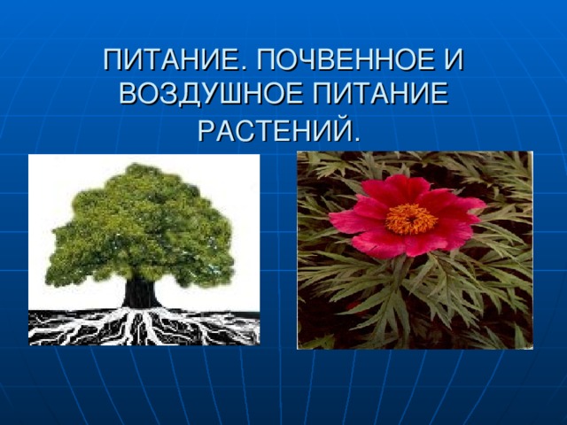 ПИТАНИЕ. ПОЧВЕННОЕ И ВОЗДУШНОЕ ПИТАНИЕ РАСТЕНИЙ.  