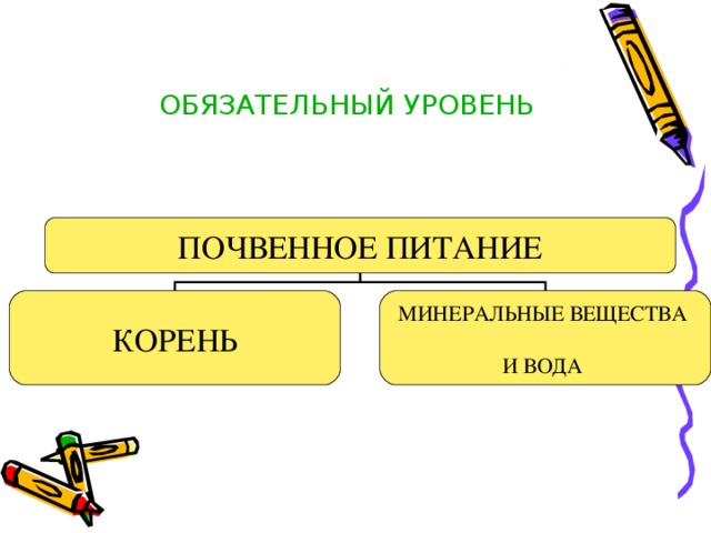   ОБЯЗАТЕЛЬНЫЙ УРОВЕНЬ    ПОЧВЕННОЕ ПИТАНИЕ КОРЕНЬ МИНЕРАЛЬНЫЕ ВЕЩЕСТВА И ВОДА 
