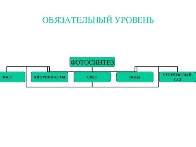 ОБЯЗАТЕЛЬНЫЙ УРОВЕНЬ   ФОТОСИНТЕЗ ЛИСТ ХЛОРОПЛАСТЫ СВЕТ ВОДА УГЛЕКИСЛЫЙ ГАЗ 