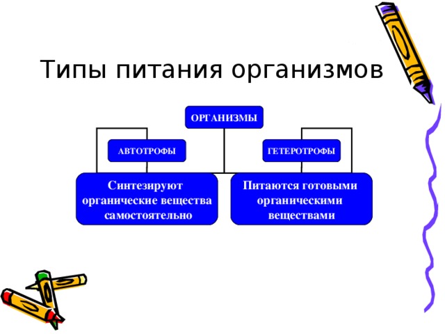 Типы питания организмов ОРГАНИЗМЫ АВТОТРОФЫ ГЕТЕРОТРОФЫ Синтезируют органические вещества  самостоятельно Питаются готовыми органическими веществами 