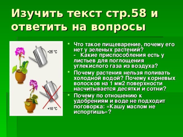 Изучить текст стр.58 и ответить на вопросы Что такое пищеварение, почему его нет у зеленых растений?  - Какие приспособления есть у листьев для поглощения углекислого газа из воздуха? Почему растения нельзя поливать холодной водой? Почему корневых волосков на 1 мм2 поверхности насчитывается десятки и сотни? Почему по отношению к удобрениям и воде не подходит поговорка: «Кашу маслом не испортишь»?    