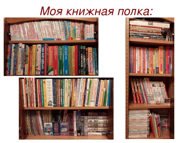 Моя книжная полка: 