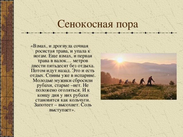  «Взмах, и дрогнула сочная росистая трава, и упала к ногам. Еще взмах, и первая трава в валок… метров двести пятьдесят без отдыха. Потом идут назад. Это и есть отдых. Спины уже в испарине. Молодые мужики сбросили рубахи, старые –нет. Не положено оголяться. И к концу дня у них рубахи становятся как кольчуги. Запотеет – высохнет. Соль выступает». 