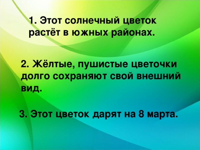 1. Этот солнечный цветок растёт в южных районах. 2. Жёлтые, пушистые цветочки долго сохраняют свой внешний вид. 3. Этот цветок дарят на 8 марта. 
