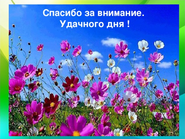 Спасибо за внимание. Удачного дня ! 