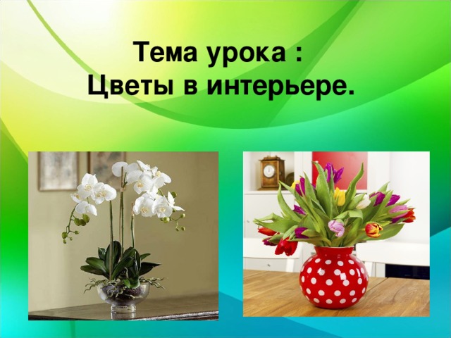  Тема урока :  Цветы в интерьере. 