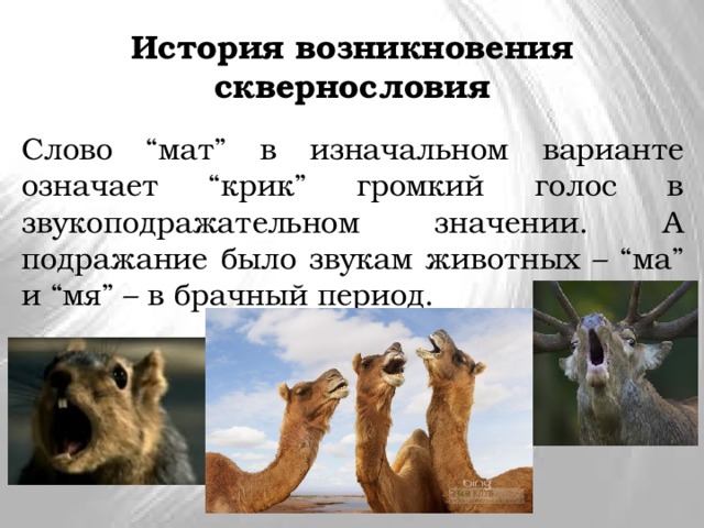 История возникновения сквернословия Слово “мат” в изначальном варианте означает “крик” громкий голос в звукоподражательном значении. А подражание было звукам животных – “ма” и “мя” – в брачный период. 