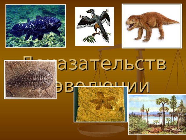 Доказательства эволюции 