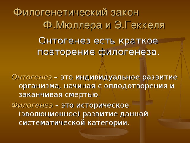 Филогенетический закон Ф.Мюллера и Э.Геккеля  Онтогенез есть краткое повторение филогенеза. Онтогенез – это индивидуальное развитие организма, начиная с оплодотворения и заканчивая смертью. Филогенез – это историческое (эволюционное) развитие данной систематической категории. 