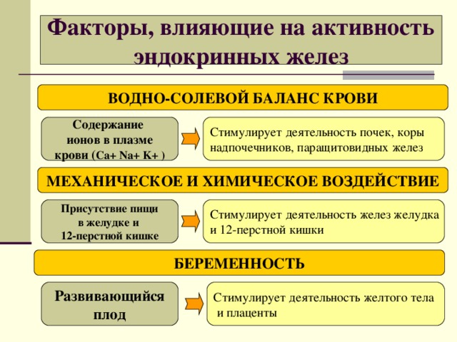Факторы, влияющие на активность эндокринных желез ВОДНО-СОЛЕВОЙ БАЛАНС КРОВИ Содержание ионов в плазме крови ( Ca+ Na+ K+ ) Стимулирует деятельность почек, коры надпочечников, паращитовидных желез МЕХАНИЧЕСКОЕ И ХИМИЧЕСКОЕ ВОЗДЕЙСТВИЕ Присутствие пищи в желудке и 12-перстной кишке Стимулирует деятельность желез желудка и 12-перстной кишки БЕРЕМЕННОСТЬ Развивающийся плод Стимулирует деятельность желтого тела  и плаценты 