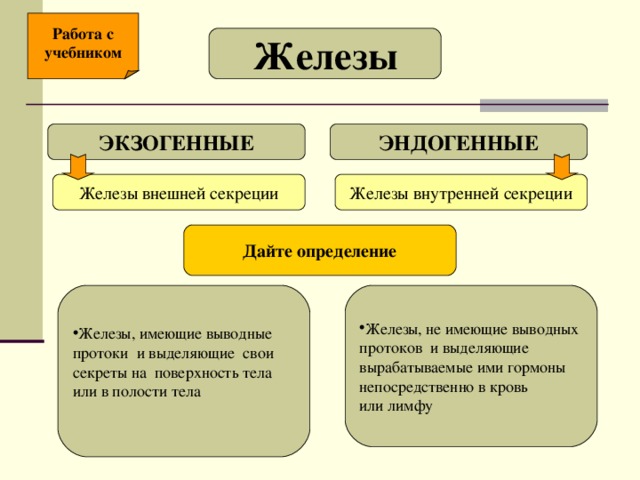 Работа с учебником Железы ЭКЗОГЕННЫЕ ЭНДОГЕННЫЕ Железы внешней секреции Железы внутренней секреции Дайте определение Железы, имеющие выводные Железы, не имеющие выводных протоки и выделяющие свои секреты на поверхность тела или в полости тела протоков и выделяющие вырабатываемые ими гормоны непосредственно в кровь или лимфу 