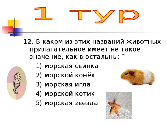 12. В каком из этих названий животных прилагательное имеет не такое значение, как в остальных?  1) морская свинка  2) морской конёк  3) морская игла  4) морской котик  5) морская звезда 