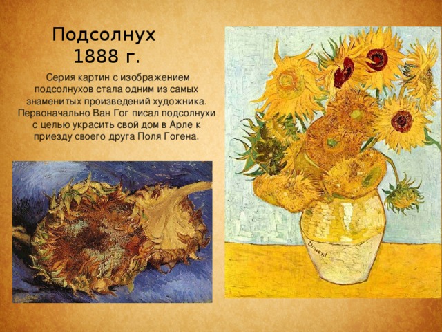Подсолнух  1888 г.     Серия картин с изображением подсолнухов стала одним из самых знаменитых произведений художника. Первоначально Ван Гог писал подсолнухи с целью украсить свой дом в Арле к приезду своего друга Поля Гогена. 