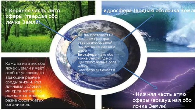 - Верх­няя часть ли­то­сфе­ры (твер­дая обо­лоч­ка Земли) - Гид­ро­сфе­ра (вод­ная обо­лоч­ка Земли ) Жизнь про­те­ка­ет на боль­шом про­стран­стве раз­но­об­раз­ной по­верх­но­сти зем­но­го шара. Био­сфе­ра – это обо­лоч­ка Земли, где су­ще­ству­ют живые ор­га­низ­мы. Био­сфе­ра вклю­ча­ет в себя: Каж­дая из этих обо­ло­чек Земли имеет осо­бые усло­вия, со­зда­ю­щие раз­ные среды жизни. Раз­лич­ны­ми усло­ви­я­ми сред жизни по­рож­да­ет­ся мно­го­об­ра­зие форм живых ор­га­низ­мов. - Ниж­няя часть ат­мо­сфе­ры (воз­душ­ная обо­лоч­ка Земли) 