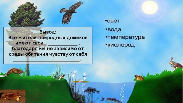 Вывод: Все жители природных домиков имеют свои _____________ , благодаря им не зависимо от среды обитания чувствуют себя _____________________________. 