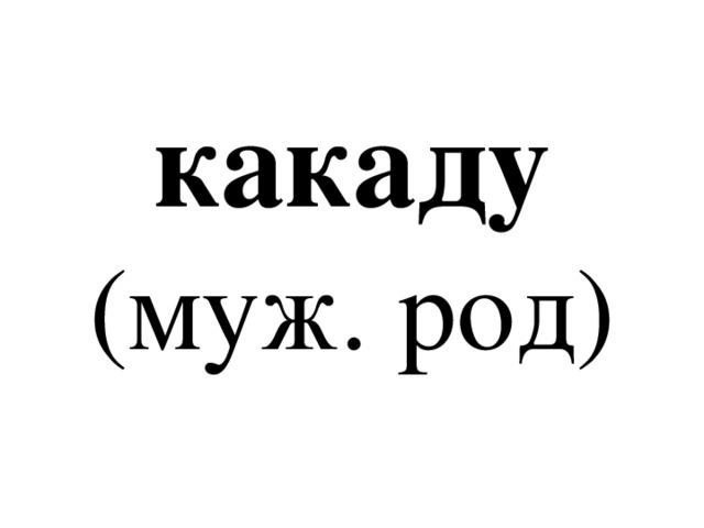 какаду  (муж. род) 