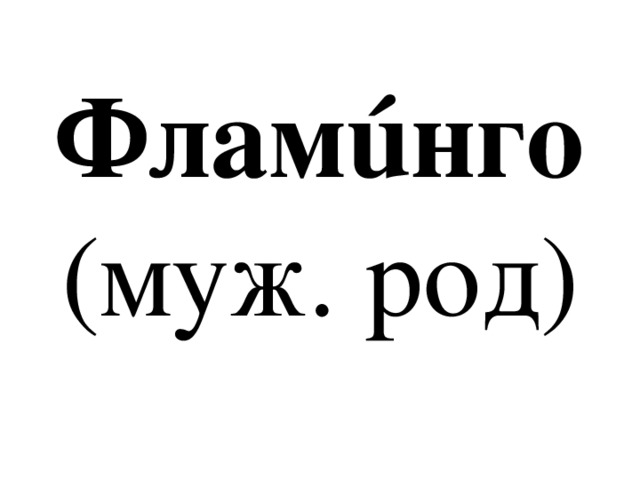 Фламúнго  (муж. род) 