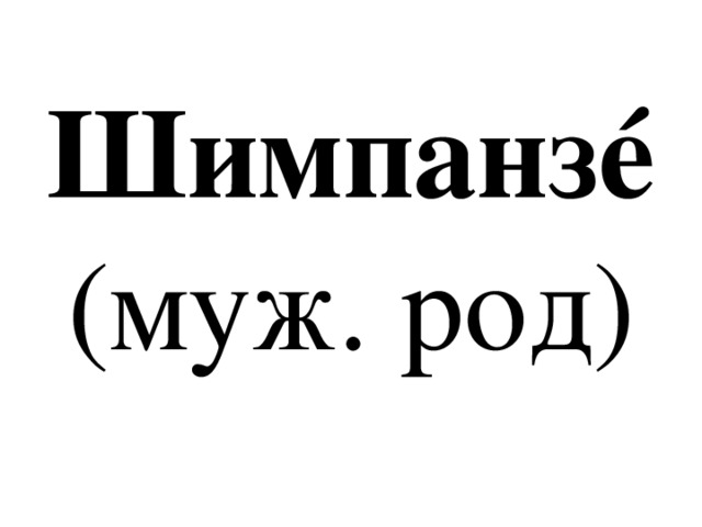 Шимпанзé  (муж. род) 