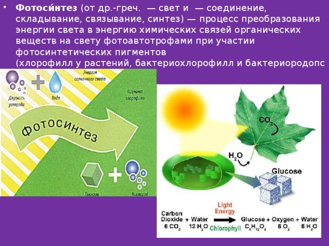 Фотоси́нтез  (от др.-греч.  — свет и  — соединение, складывание, связывание, синтез) — процесс преобразования энергии света в энергию химических связей органических веществ на свету фотоавтотрофами при участии фотосинтетических пигментов (хлорофилл у растений, бактериохлорофилл и бактериородопсин у бактерий 
