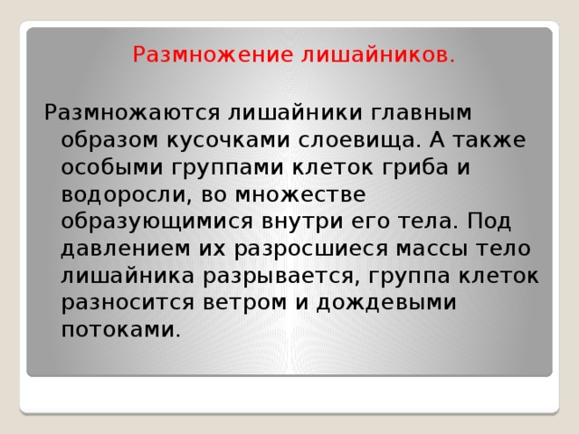 Размножение лишайников. Размножаются лишайники главным образом кусочками слоевища. А также особыми группами клеток гриба и водоросли, во множестве образующимися внутри его тела. Под давлением их разросшиеся массы тело лишайника разрывается, группа клеток разносится ветром и дождевыми потоками. 