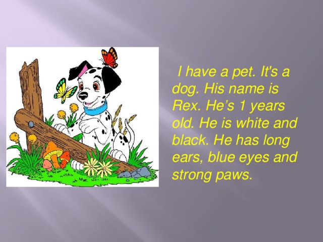  I have a pet. It's a dog. His name is Rex. He’s 1 years old. He is white and black. He has long ears, blue eyes and strong paws. 