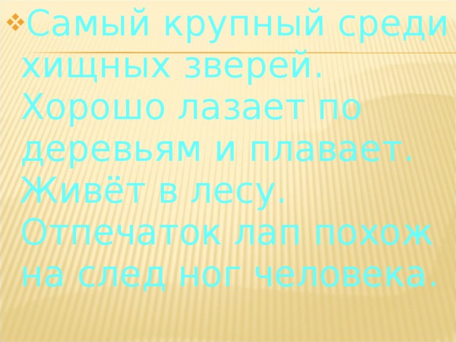 Самый крупный среди хищных зверей. Хорошо лазает по деревьям и плавает. Живёт в лесу. Отпечаток лап похож на след ног человека. 