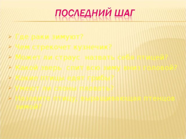 Где раки зимуют? Чем стрекочет кузнечик? Может ли страус назвать себя птицей? Какой зверь спит всю зиму вниз головой? Какие птицы едят грибы? Умеют ли слоны плавать? Назовите птицу, выращивающая птенцов зимой? 