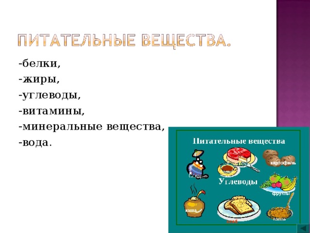 -белки, -жиры, -углеводы, -витамины, -минеральные вещества, -вода. 