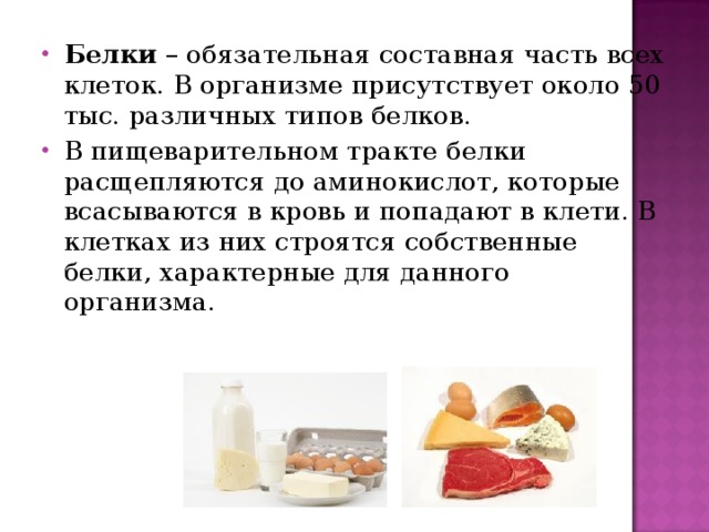 Белки – обязательная составная часть всех клеток. В организме присутствует около 50 тыс. различных типов белков. В пищеварительном тракте белки расщепляются до аминокислот, которые всасываются в кровь и попадают в клети. В клетках из них строятся собственные белки, характерные для данного организма.  