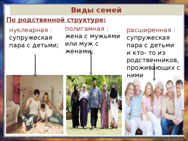 Виды семей По родственной структуре: полигамная : жена с мужьями или муж с женами; нуклеарная : расширенная : супружеская пара с детьми; супружеская пара с детьми и кто- то из родственников, проживающих с ними 
