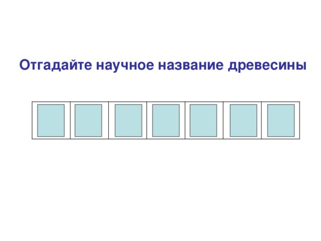 Отгадайте научное название древесины  А С И Л Е М К 