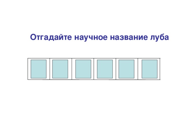 Отгадайте научное название луба  А Ф Л О Э М 