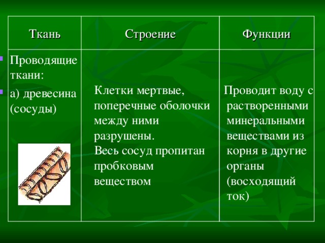 Функции Строение Ткань  Проводит воду с растворенными минеральными веществами из корня в другие органы (восходящий ток)  Клетки мертвые, поперечные оболочки между ними разрушены.  Весь сосуд пропитан пробковым веществом Проводящие ткани: а) древесина (сосуды) 