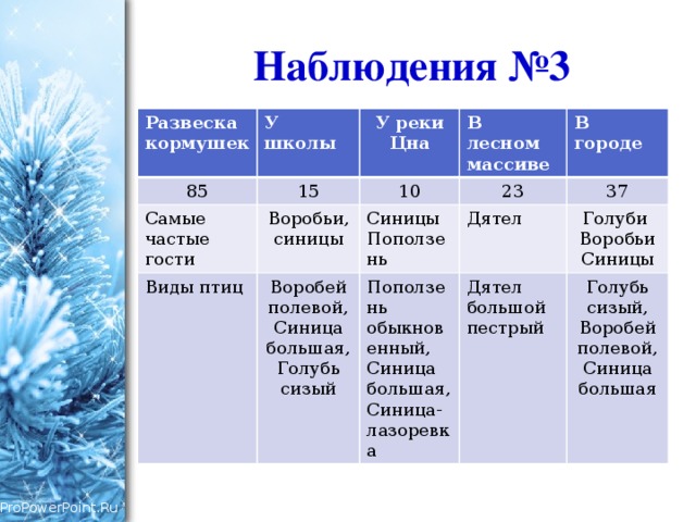 Наблюдения №3 Развеска кормушек У школы 85 У реки Цна 15 Самые частые гости 10 Виды птиц В лесном массиве Воробьи, синицы Воробей Синицы Поползень 23 В городе 37 полевой, Поползень обыкновенный, Синица большая, Синица-лазоревка Дятел Голуби Воробьи Синицы Синица большая, Голубь сизый Дятел большой пестрый Голубь сизый, Воробей полевой, Синица большая 