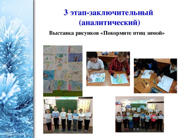 3 этап-заключительный  (аналитический) Выставка рисунков «Покормите птиц зимой» 