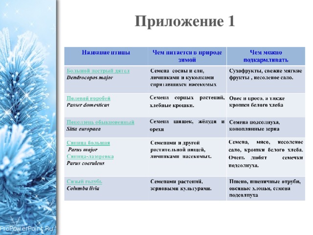 Приложение 1 