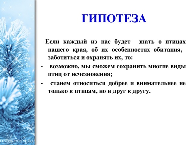 ГИПОТЕЗА  Если каждый из нас будет знать о птицах нашего края, об их особенностях обитания, заботиться и охранять их, то: -    возможно, мы сможем сохранить многие виды птиц от исчезновения; -    станем относиться добрее и внимательнее не только к птицам, но и друг к другу. 