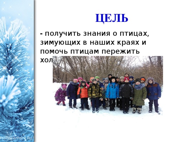ЦЕЛЬ - получить знания о птицах, зимующих в наших краях и помочь птицам пережить холодное время года. 