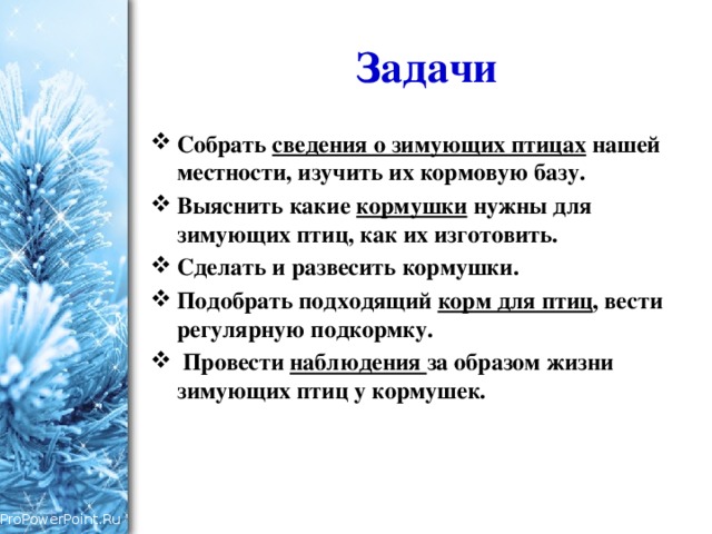  Задачи Собрать  сведения о зимующих птицах  нашей местности, изучить их кормовую базу. Выяснить какие  кормушки  нужны для зимующих птиц, как их изготовить. Сделать и развесить кормушки. Подобрать подходящий корм для птиц , вести регулярную подкормку.  Провести наблюдения за образом жизни зимующих птиц у кормушек. 
