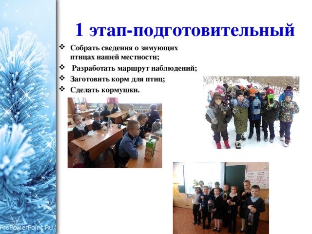 1 этап-подготовительный Собрать сведения о зимующих птицах нашей местности;  Разработать маршрут наблюдений; Заготовить корм для птиц; Сделать кормушки. 