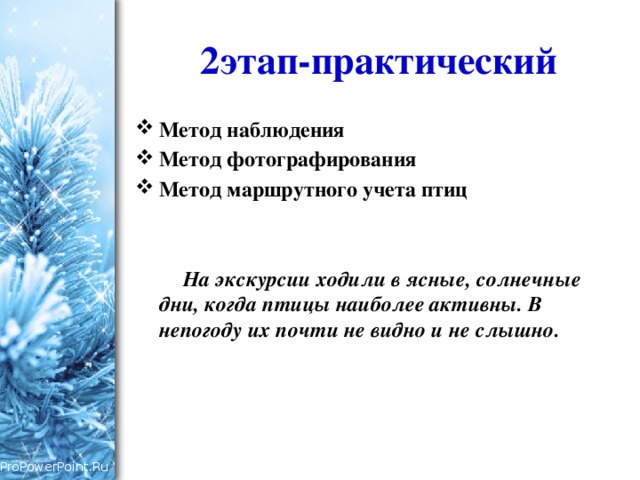 2этап-практический Метод наблюдения Метод фотографирования Метод маршрутного учета птиц   На экскурсии ходили в ясные, солнечные дни, когда птицы наиболее активны. В непогоду их почти не видно и не слышно. 