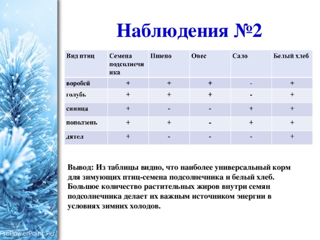 Наблюдения №2 Вывод: Из таблицы видно, что наиболее универсальный корм для зимующих птиц-семена подсолнечника и белый хлеб. Большое количество растительных жиров внутри семян подсолнечника делает их важным источником энергии в условиях зимних холодов. 