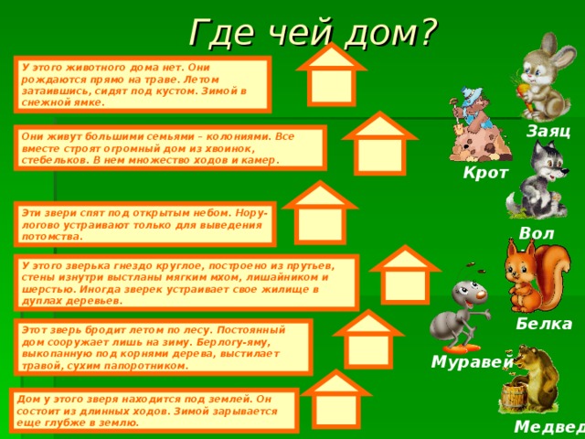 Где чей дом? У этого животного дома нет. Они рождаются прямо на траве. Летом затаившись, сидят под кустом. Зимой в снежной ямке. Заяц Они живут большими семьями – колониями. Все вместе строят огромный дом из хвоинок, стебельков. В нем множество ходов и камер. Крот Эти звери спят под открытым небом. Нору-логово устраивают только для выведения потомства. Волк У этого зверька гнездо круглое, построено из прутьев, стены изнутри выстланы мягким мхом, лишайником и шерстью. Иногда зверек устраивает свое жилище в дуплах деревьев. Белка Этот зверь бродит летом по лесу. Постоянный дом сооружает лишь на зиму. Берлогу-яму, выкопанную под корнями дерева, выстилает травой, сухим папоротником. Муравей Дом у этого зверя находится под землей. Он состоит из длинных ходов. Зимой зарывается еще глубже в землю. Медведь 
