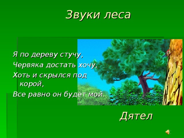 Звуки леса Я по дереву стучу, Червяка достать хочу, Хоть и скрылся под корой, Все равно он будет мой.   Дятел 