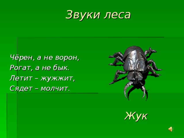 Звуки леса Чёрен, а не ворон, Рогат, а не бык. Летит – жужжит, Сядет – молчит. Жук 20 