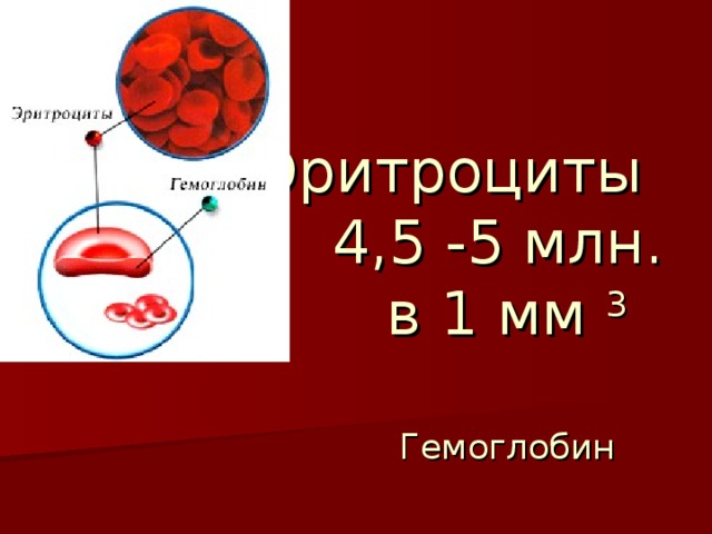 Эритроциты  4,5 -5 млн.  в 1 мм 3   Гемоглобин 