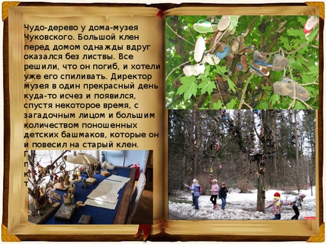 Чудо-дерево у дома-музея Чуковского. Большой клен перед домом однажды вдруг оказался без листвы. Все решили, что он погиб, и хотели уже его спиливать. Директор музея в один прекрасный день куда-то исчез и появился, спустя некоторое время, с загадочным лицом и большим количеством поношенных детских башмаков, которые он и повесил на старый клен. После этого дерево вновь покрылось листвой, а коллекция детских башмаков только пополняется. 