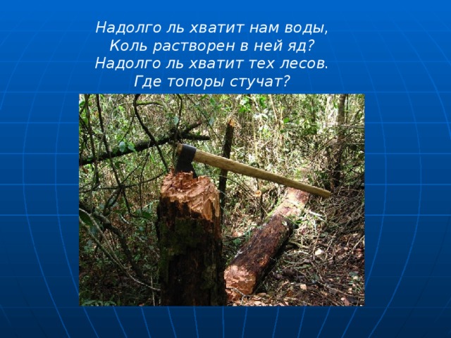 Надолго ль хватит нам воды,  Коль растворен в ней яд?  Надолго ль хватит тех лесов.  Где топоры стучат?  