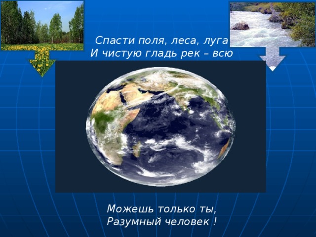 Спасти поля, леса, луга  И чистую гладь рек – всю Землю   Можешь только ты,  Разумный человек ! 